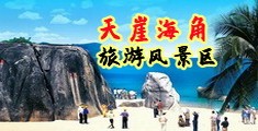 美女鸡巴视频免费观看黄片海南三亚-天崖海角旅游风景区